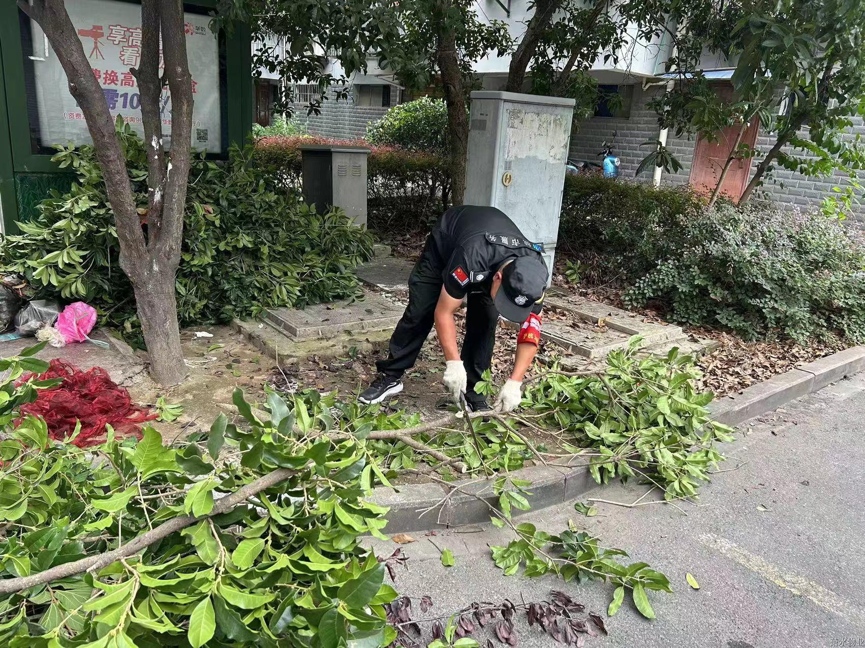 “洁”尽全力 守护美好 | 绣出高颜值，，，，，，，，焕新老小区
